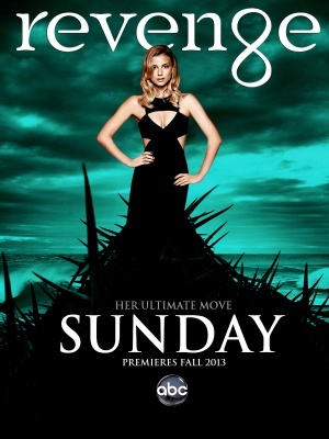 Revenge movie poster (2011) poster with hanger