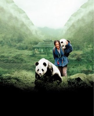 China: The Panda Adventure movie poster (2001) metal framed poster