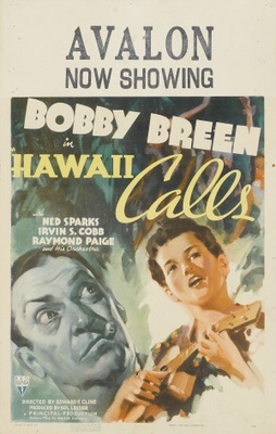 Hawaii Calls movie poster (1938) poster with hanger