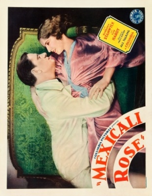 Mexicali Rose movie poster (1929) puzzle MOV_99cab95a