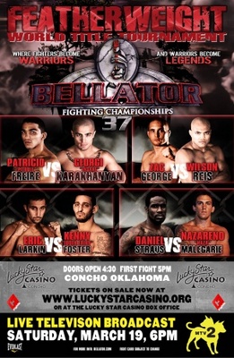 Bellator Fighting Championships movie poster (2009) wooden framed poster