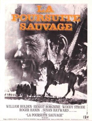 The Revengers movie poster (1972) poster