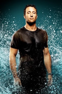 Hawaii Five-0 movie poster (2010) puzzle MOV_9a8f0540