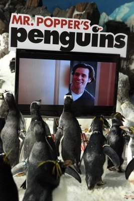 Mr. Popper's Penguins movie poster (2011) wooden framed poster
