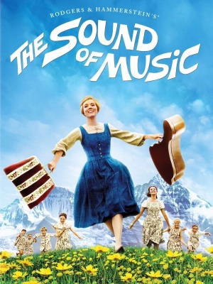The Sound of Music movie poster (1965) wooden framed poster