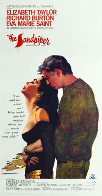 The Sandpiper movie poster (1965) metal framed poster