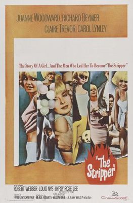 The Stripper movie poster (1963) wooden framed poster