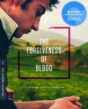 The Forgiveness of Blood movie poster (2011) pillow