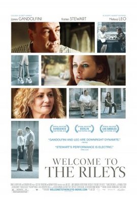 Welcome to the Rileys movie poster (2010) wooden framed poster