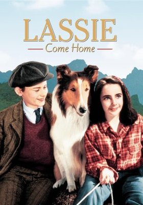 Lassie Come Home movie poster (1943) metal framed poster