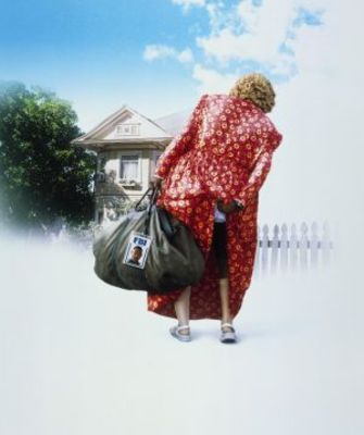 Big Momma's House movie poster (2000) canvas poster