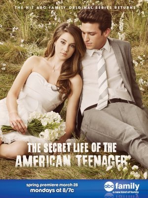 The Secret Life of the American Teenager movie poster (2008) tote bag