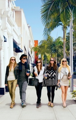 The Bling Ring movie poster (2013) canvas poster