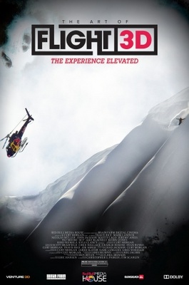 The Art of Flight movie poster (2011) poster with hanger
