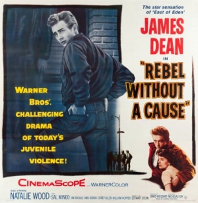 Rebel Without a Cause movie poster (1955) canvas poster