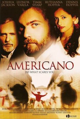 Americano movie poster (2005) wooden framed poster