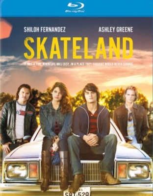 Skateland movie poster (2010) wooden framed poster