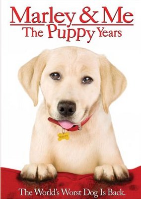 Marley & Me: The Puppy Years movie poster (2011) canvas poster
