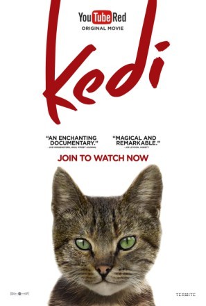 Kedi movie poster (2017) wooden framed poster