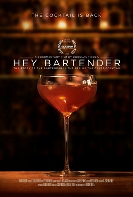Hey Bartender movie poster (2013) canvas poster