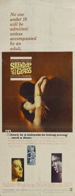 Splendor in the Grass movie poster (1961) poster