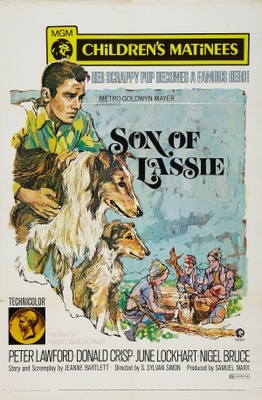 Son of Lassie movie poster (1945) wooden framed poster