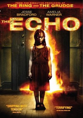 The Echo movie poster (2008) poster with hanger
