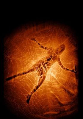 Earth vs. the Spider movie poster (2001) Poster MOV_b190e4b4