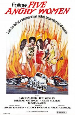 Women Unchained movie poster (1974) canvas poster