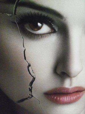 Black Swan movie poster (2010) canvas poster