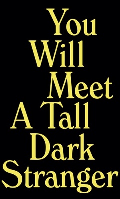 You Will Meet a Tall Dark Stranger movie poster (2010) sweatshirt