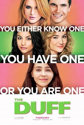 The DUFF movie poster (2015) poster