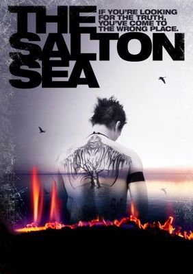 The Salton Sea movie poster (2002) wooden framed poster