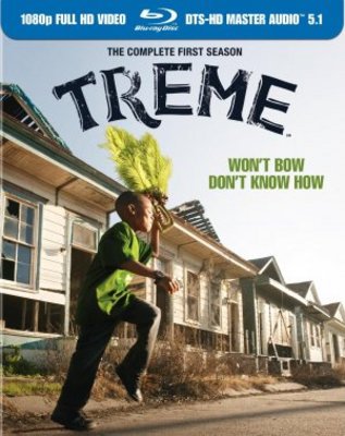 Treme movie poster (2010) Poster MOV_b55a8a41