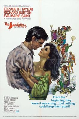 The Sandpiper movie poster (1965) canvas poster