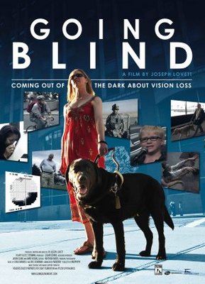 Going Blind movie poster (2010) puzzle MOV_b70238cc