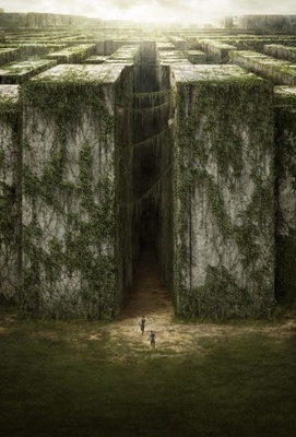 The Maze Runner movie poster (2014) canvas poster