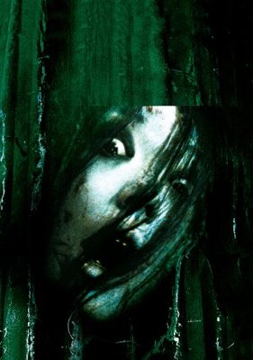 The Grudge movie poster (2004) wood print
