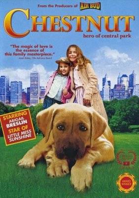 Chestnut: Hero of Central Park movie poster (2006) Poster MOV_b7ffcb33
