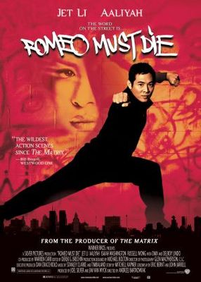 Romeo Must Die movie poster (2000) wooden framed poster