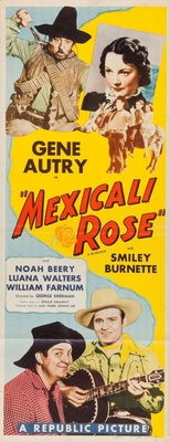 Mexicali Rose movie poster (1939) metal framed poster