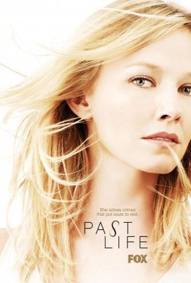 Past Life movie poster (2010) wood print