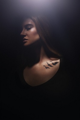 Divergent movie poster (2014) Stickers MOV_bd10a79d