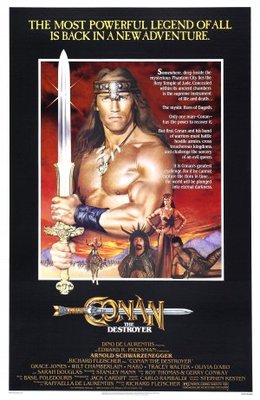 Conan The Destroyer movie poster (1984) Poster MOV_bd7535b6