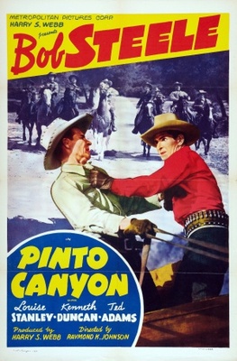 Pinto Canyon movie poster (1940) poster