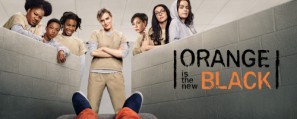 Orange Is the New Black movie poster (2013) Poster MOV_bdmsculr