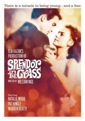 Splendor in the Grass movie poster (1961) metal framed poster