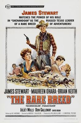The Rare Breed movie poster (1966) Poster MOV_bf679bb4