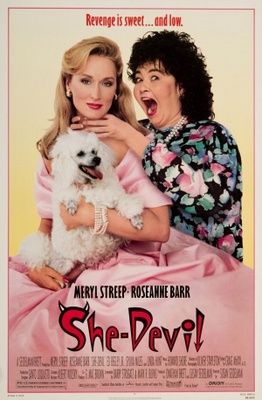 She-Devil movie poster (1989) poster with hanger