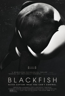 Blackfish movie poster (2013) canvas poster